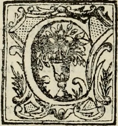 An illustration from Recopilacion de leyes de los reynos de las Indias : mandadas imprimir, y publicar por la magestad catolica del rey don Carlos II, nuestro señor : va dividida en quatro tomos, con el indice general, y al principio de cada tomo el indice especial de los titulos, que contiene, 1681, leaf 299