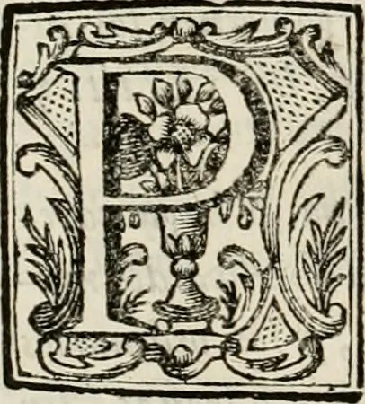 An illustration from Recopilacion de leyes de los reynos de las Indias : mandadas imprimir, y publicar por la magestad catolica del rey don Carlos II, nuestro señor : va dividida en quatro tomos, con el indice general, y al principio de cada tomo el indice especial de los titulos, que contiene, 1681, leaf 315