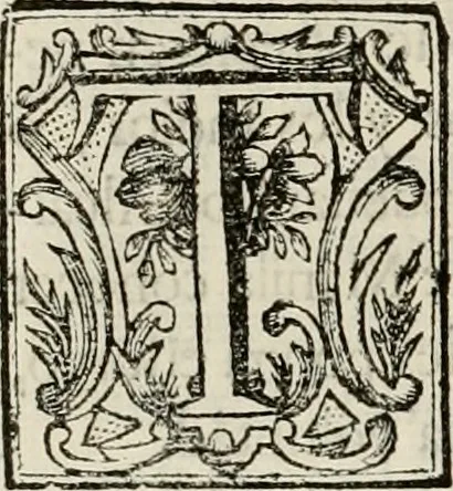 An illustration from Recopilacion de leyes de los reynos de las Indias : mandadas imprimir, y publicar por la magestad catolica del rey don Carlos II, nuestro señor : va dividida en quatro tomos, con el indice general, y al principio de cada tomo el indice especial de los titulos, que contiene, 1681, leaf 321