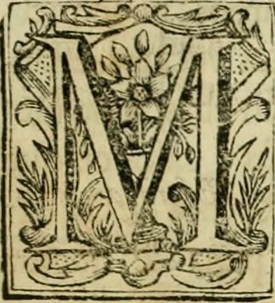 An illustration from Recopilacion de leyes de los reynos de las Indias : mandadas imprimir, y publicar por la magestad catolica del rey don Carlos II, nuestro señor : va dividida en quatro tomos, con el indice general, y al principio de cada tomo el indice especial de los titulos, que contiene, 1681, leaf 348