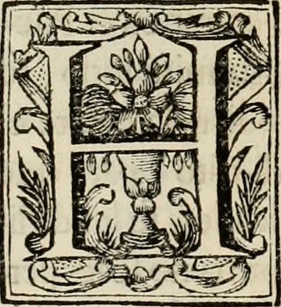 An illustration from Recopilacion de leyes de los reynos de las Indias : mandadas imprimir, y publicar por la magestad catolica del rey don Carlos II, nuestro señor : va dividida en quatro tomos, con el indice general, y al principio de cada tomo el indice especial de los titulos, que contiene, 1681, leaf 413