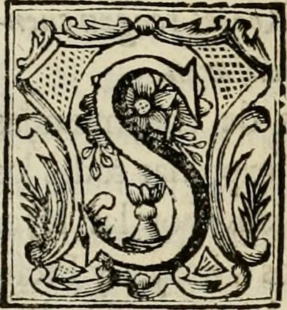 An illustration from Recopilacion de leyes de los reynos de las Indias : mandadas imprimir, y publicar por la magestad catolica del rey don Carlos II, nuestro señor : va dividida en quatro tomos, con el indice general, y al principio de cada tomo el indice especial de los titulos, que contiene, 1681, leaf 445