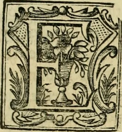 An illustration from Recopilacion de leyes de los reynos de las Indias : mandadas imprimir, y publicar por la magestad catolica del rey don Carlos II, nuestro señor : va dividida en quatro tomos, con el indice general, y al principio de cada tomo el indice especial de los titulos, que contiene, 1681, leaf 478