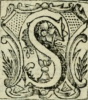An illustration from Recopilacion de leyes de los reynos de las Indias : mandadas imprimir, y publicar por la magestad catolica del rey don Carlos II, nuestro señor : va dividida en quatro tomos, con el indice general, y al principio de cada tomo el indice especial de los titulos, que contiene, 1681, leaf 516