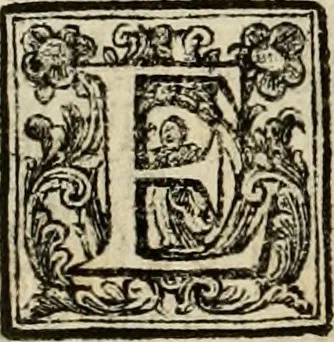An illustration from Recopilacion de leyes de los reynos de las Indias : mandadas imprimir, y publicar por la magestad catolica del rey don Carlos II, nuestro señor : va dividida en quatro tomos, con el indice general, y al principio de cada tomo el indice especial de los titulos, que contiene, 1681, leaf 557