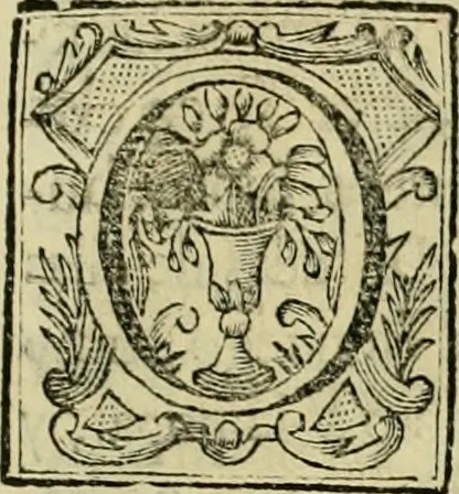 An illustration from Recopilacion de leyes de los reynos de las Indias : mandadas imprimir, y publicar por la magestad catolica del rey don Carlos II, nuestro señor : va dividida en quatro tomos, con el indice general, y al principio de cada tomo el indice especial de los titulos, que contiene, 1681, leaf 570