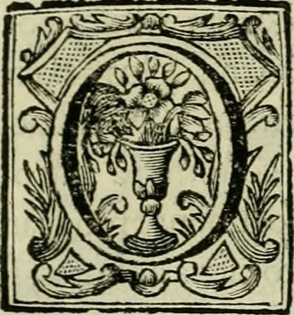 An illustration from Recopilacion de leyes de los reynos de las Indias : mandadas imprimir, y publicar por la magestad catolica del rey don Carlos II, nuestro señor : va dividida en quatro tomos, con el indice general, y al principio de cada tomo el indice especial de los titulos, que contiene, 1681, leaf 596