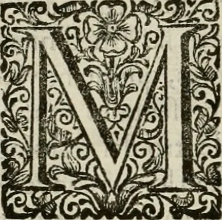 An illustration from Recopilacion de leyes de los reynos de las Indias : mandadas imprimir, y publicar por la magestad catolica del rey don Carlos II, nuestro señor : va dividida en quatro tomos, con el indice general, y al principio de cada tomo el indice especial de los titulos, que contiene, 1681, leaf 121