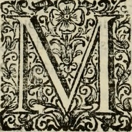 An illustration from Recopilacion de leyes de los reynos de las Indias : mandadas imprimir, y publicar por la magestad catolica del rey don Carlos II, nuestro señor : va dividida en quatro tomos, con el indice general, y al principio de cada tomo el indice especial de los titulos, que contiene, 1681, leaf 189