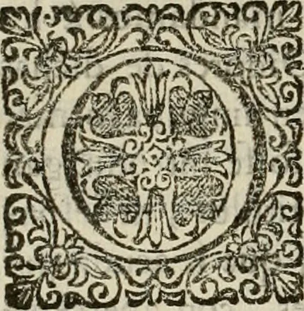 An illustration from Recopilacion de leyes de los reynos de las Indias : mandadas imprimir, y publicar por la magestad catolica del rey don Carlos II, nuestro señor : va dividida en quatro tomos, con el indice general, y al principio de cada tomo el indice especial de los titulos, que contiene, 1681, leaf 217