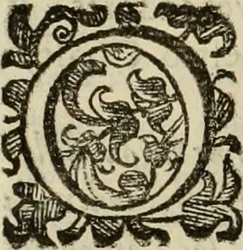 An illustration from Recopilacion de leyes de los reynos de las Indias : mandadas imprimir, y publicar por la magestad catolica del rey don Carlos II, nuestro señor : va dividida en quatro tomos, con el indice general, y al principio de cada tomo el indice especial de los titulos, que contiene, 1681, leaf 247