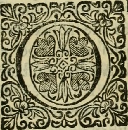 An illustration from Recopilacion de leyes de los reynos de las Indias : mandadas imprimir, y publicar por la magestad catolica del rey don Carlos II, nuestro señor : va dividida en quatro tomos, con el indice general, y al principio de cada tomo el indice especial de los titulos, que contiene, 1681, leaf 416