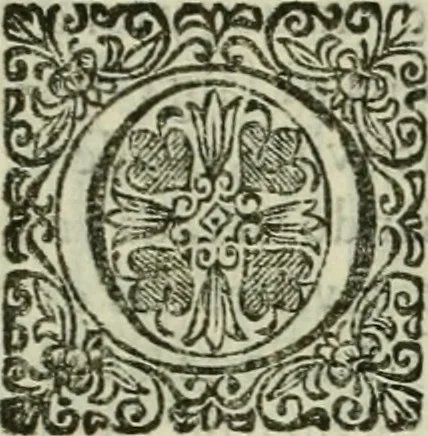 An illustration from Recopilacion de leyes de los reynos de las Indias : mandadas imprimir, y publicar por la magestad catolica del rey don Carlos II, nuestro señor : va dividida en quatro tomos, con el indice general, y al principio de cada tomo el indice especial de los titulos, que contiene, 1681, leaf 532