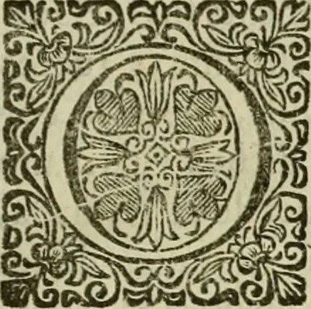 An illustration from Recopilacion de leyes de los reynos de las Indias : mandadas imprimir, y publicar por la magestad catolica del rey don Carlos II, nuestro señor : va dividida en quatro tomos, con el indice general, y al principio de cada tomo el indice especial de los titulos, que contiene, 1681, leaf 538