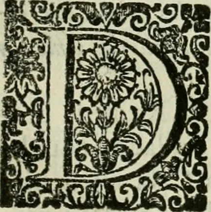 An illustration from Recopilacion de leyes de los reynos de las Indias : mandadas imprimir, y publicar por la magestad catolica del rey don Carlos II, nuestro señor : va dividida en quatro tomos, con el indice general, y al principio de cada tomo el indice especial de los titulos, que contiene, 1681, leaf 564