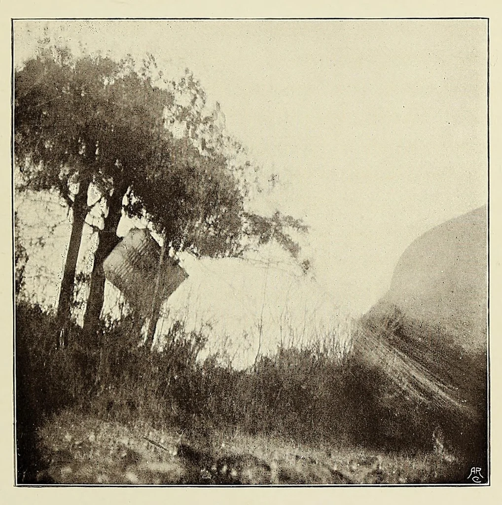 An illustration from The record of an aeronaut, being the life of John M. Bacon, 1907, leaf 343