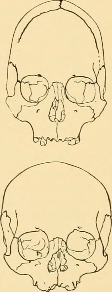 An illustration from Records of the past, 1904, leaf 101