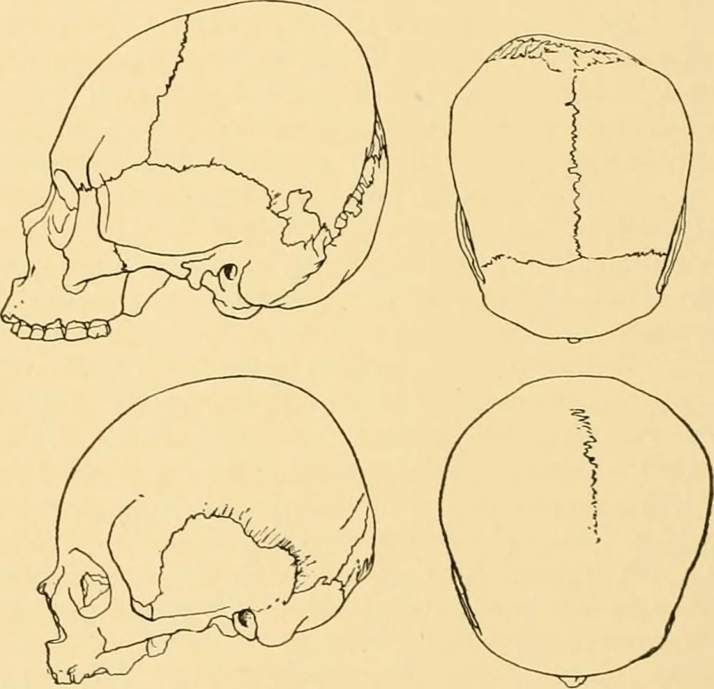 An illustration from Records of the past, 1904, leaf 101