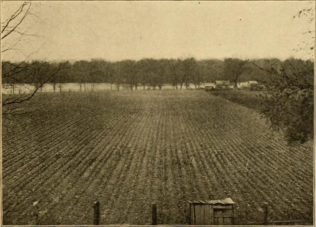 An illustration from Records of the past, 1904, leaf 130