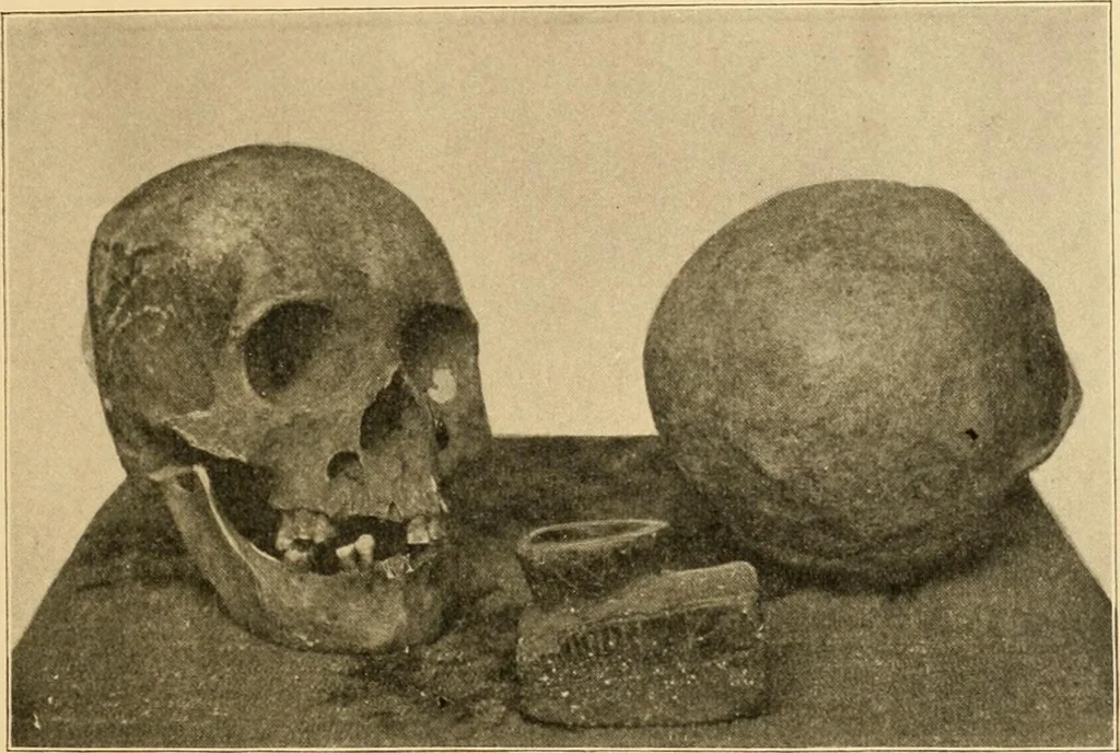 An illustration from Records of the past, 1904, leaf 132