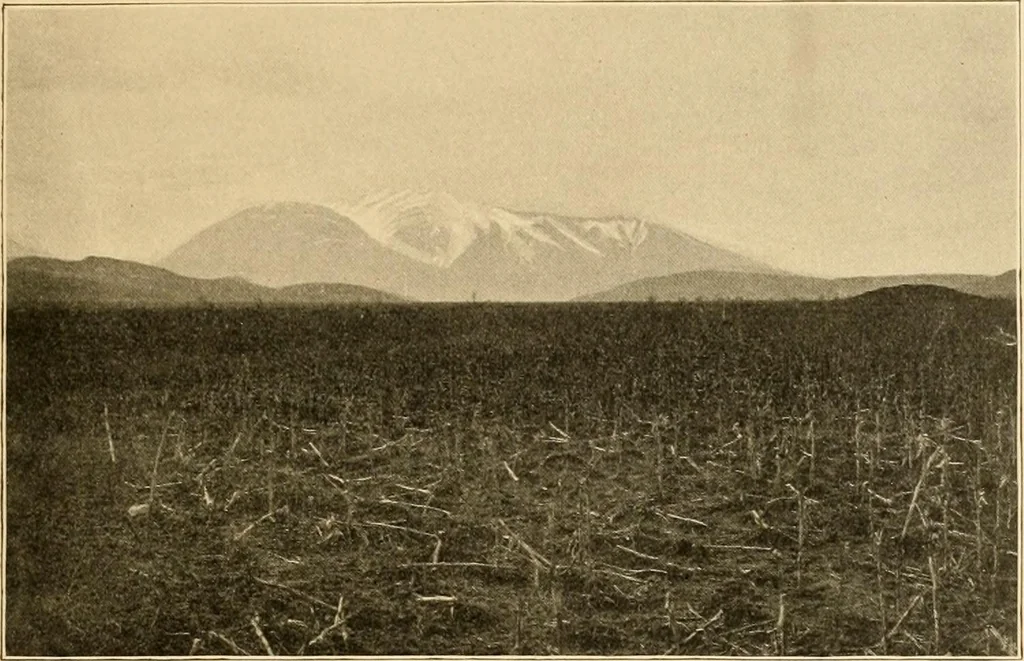 An illustration from Records of the past, 1904, leaf 148
