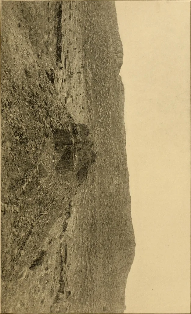 An illustration from Records of the past, 1904, leaf 16