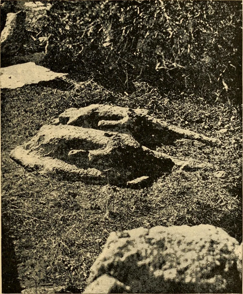 An illustration from Records of the past, 1904, leaf 164
