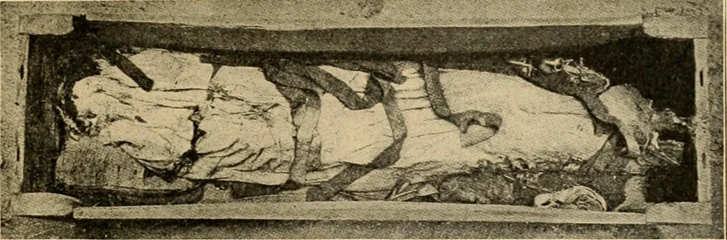 An illustration from Records of the past, 1904, leaf 218