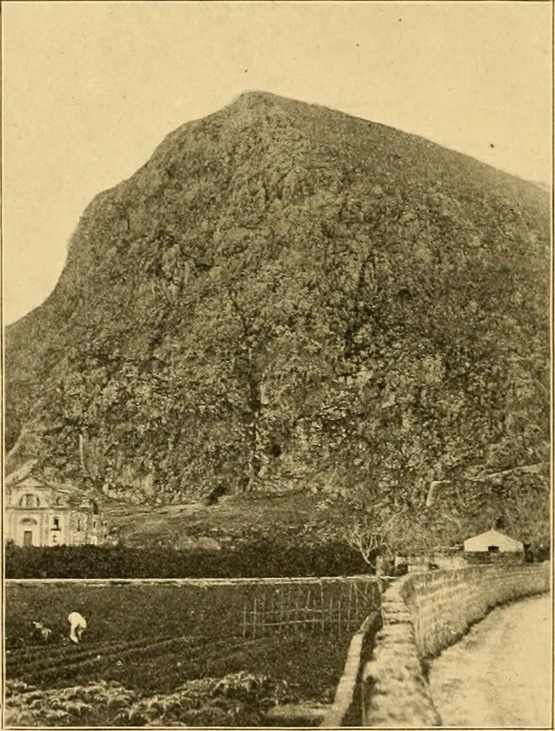 An illustration from Records of the past, 1904, leaf 229