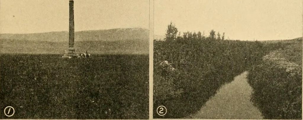 An illustration from Records of the past, 1904, leaf 240