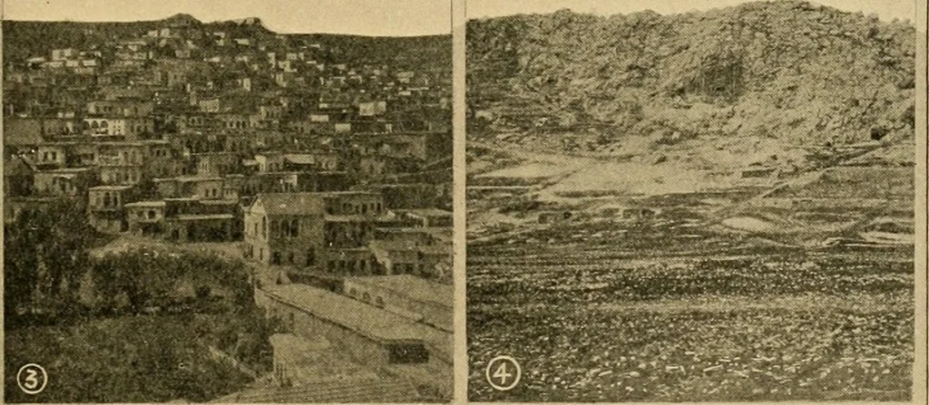 An illustration from Records of the past, 1904, leaf 240