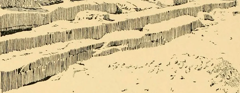 An illustration from Records of the past, 1904, leaf 251