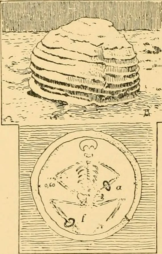 An illustration from Records of the past, 1904, leaf 253