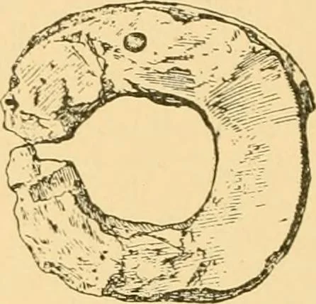 An illustration from Records of the past, 1904, leaf 265