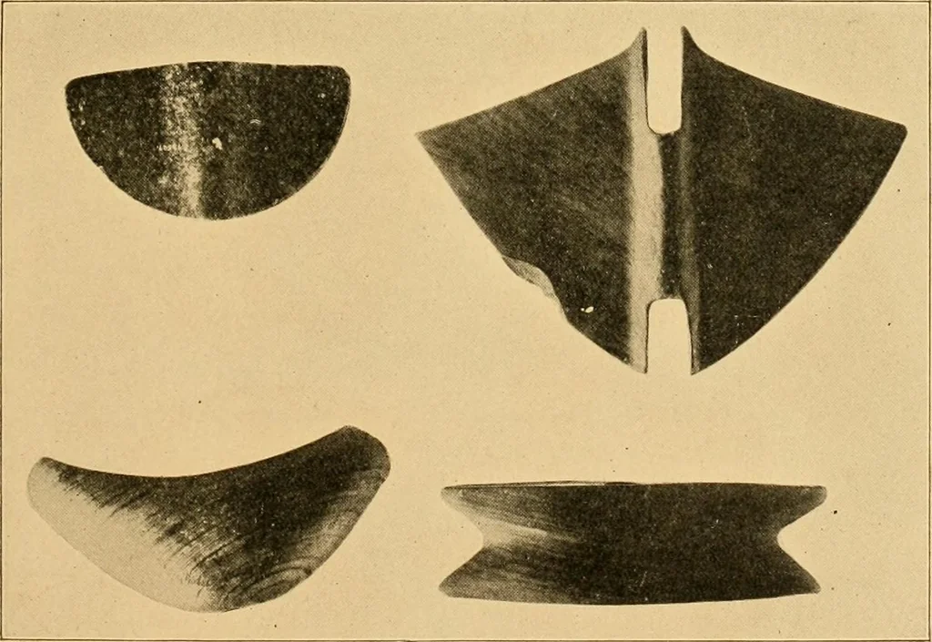 An illustration from Records of the past, 1904, leaf 282