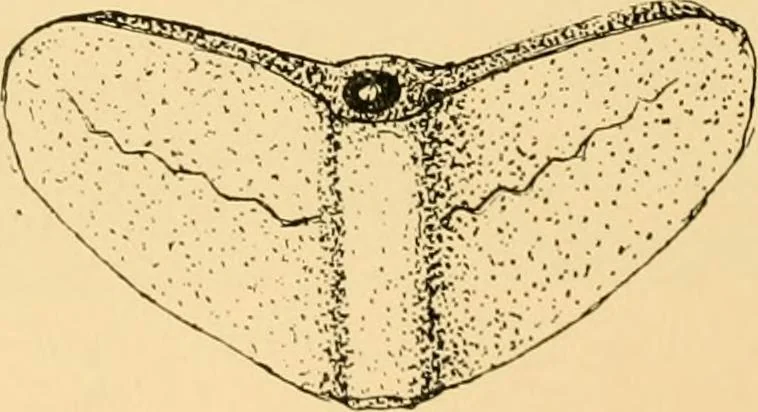 An illustration from Records of the past, 1904, leaf 283