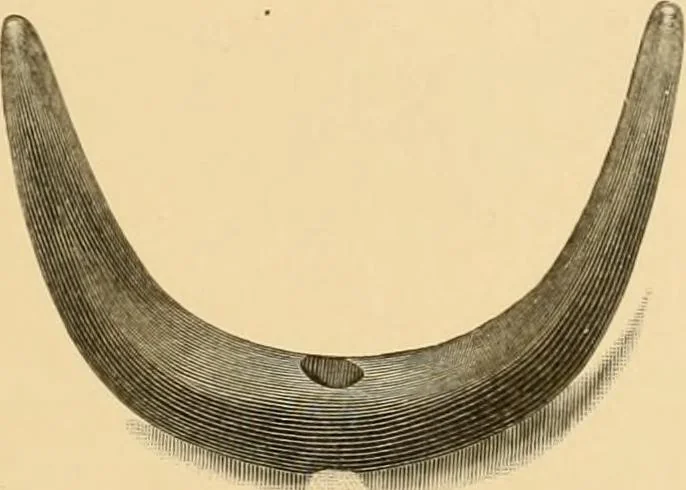 An illustration from Records of the past, 1904, leaf 284