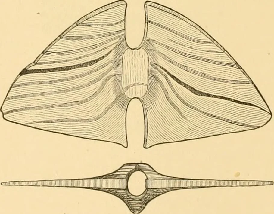 An illustration from Records of the past, 1904, leaf 285