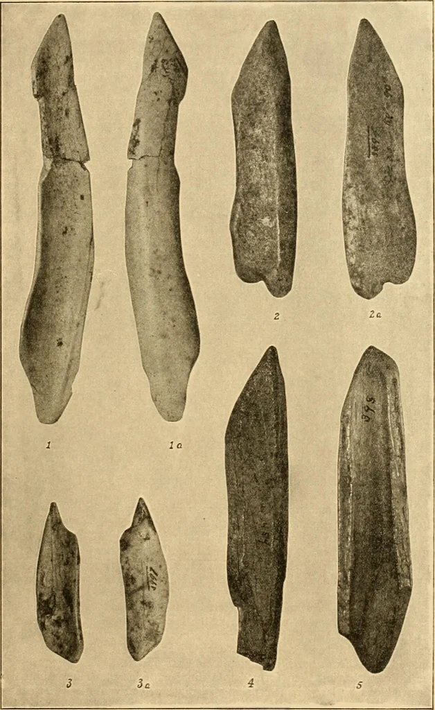 An illustration from Records of the past, 1904, leaf 290