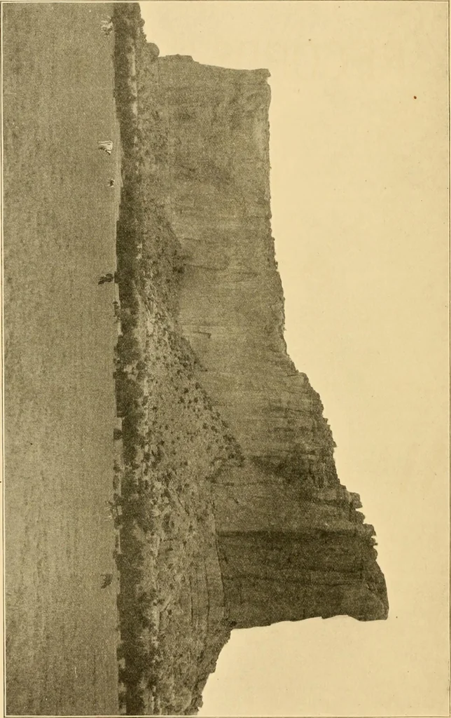An illustration from Records of the past, 1904, leaf 301