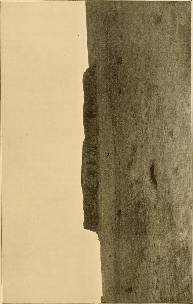An illustration from Records of the past, 1904, leaf 312