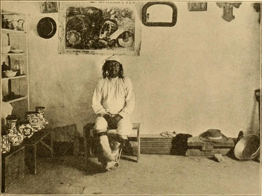 An illustration from Records of the past, 1904, leaf 342