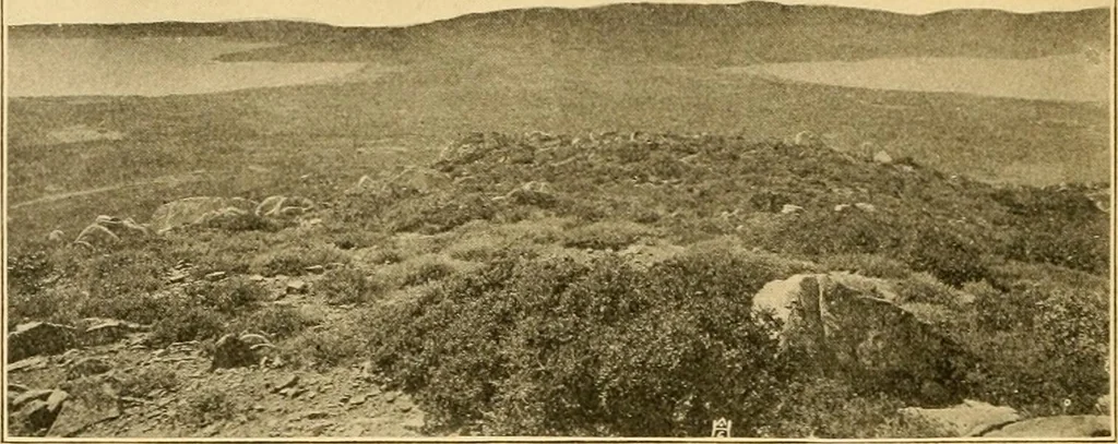 An illustration from Records of the past, 1904, leaf 365