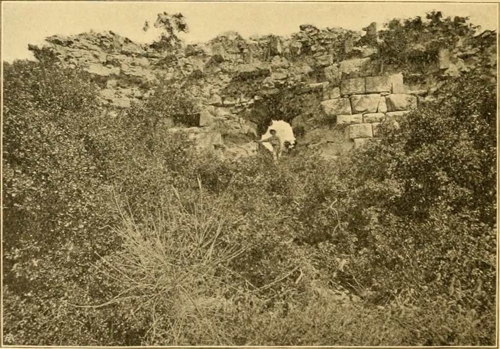 An illustration from Records of the past, 1904, leaf 365