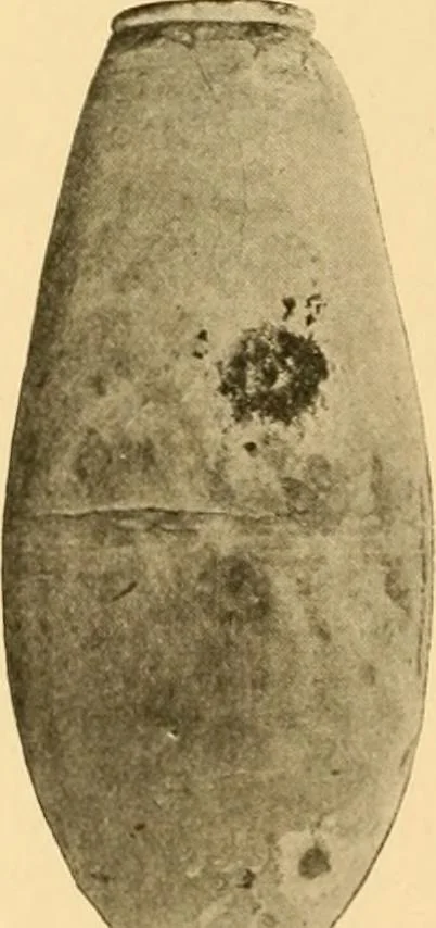 An illustration from Records of the past, 1904, leaf 385