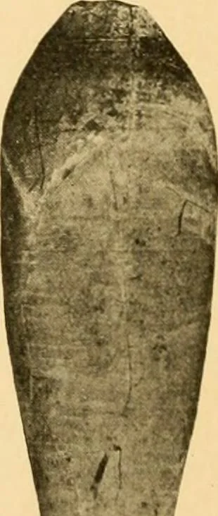 An illustration from Records of the past, 1904, leaf 385