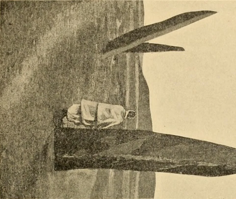 An illustration from Records of the past, 1904, leaf 48