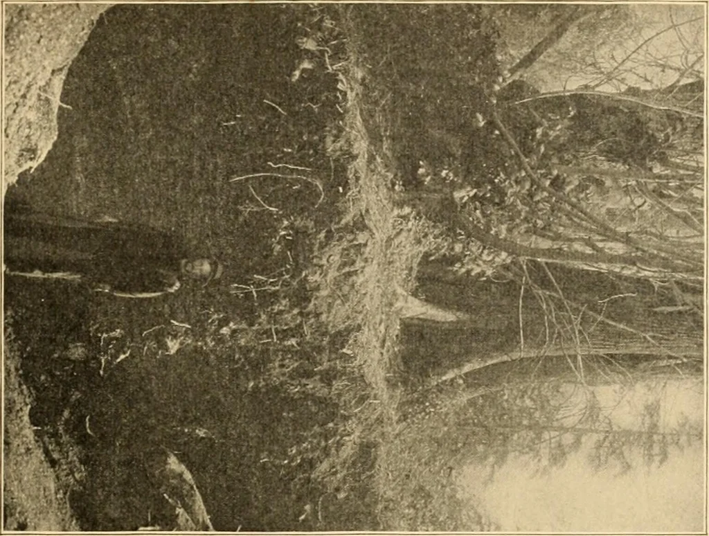 An illustration from Records of the past, 1904, leaf 92