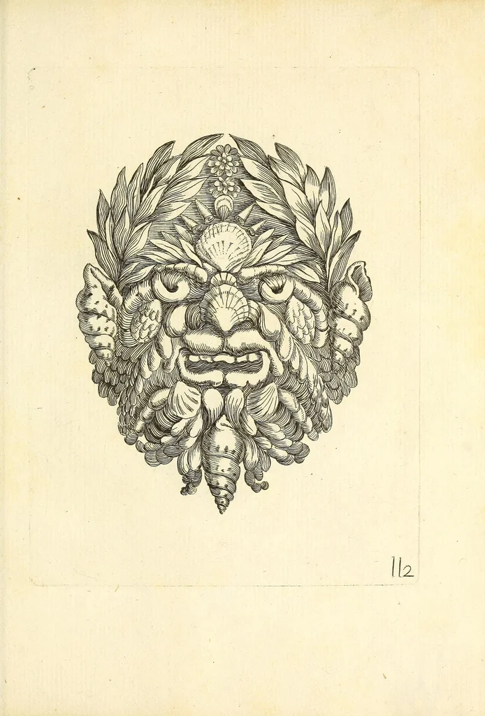 An illustration from Recreatio mentis, et oculi : in obseruatione animalium testaceorum curiosis naturæ inspectoribus Italico sermone prim um proposita, 1684, leaf 595