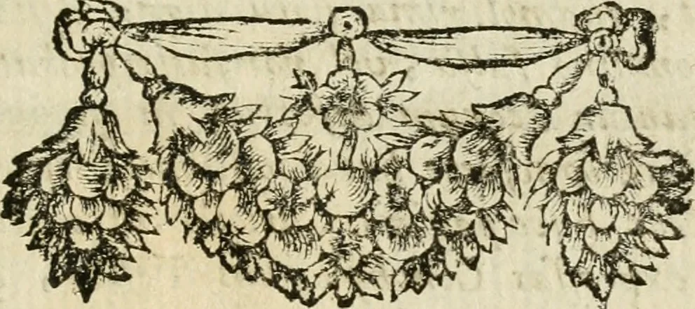 An illustration from Recreatio mentis, et oculi in observatione animalium testaceorum Italico sermone primum proposita ... nunc ... Latine oblata centum additis testaceorum iconibus .., 1684, leaf 10